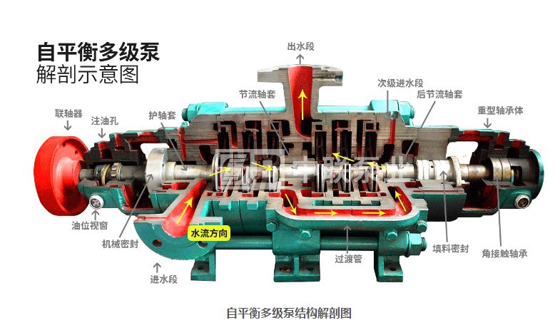 圖2? 葉輪對稱排列的多級離心泵